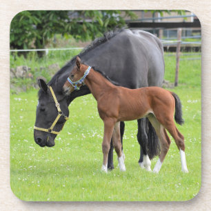 Onderzetters van paarden