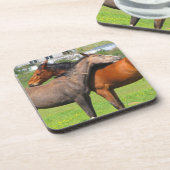 Onderzetters van paarden (Linkerzijde)