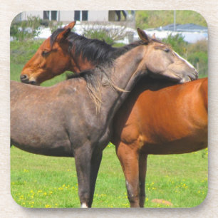 Onderzetters van paarden