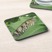 Onderzetters van papiermijt Butterfly Macro Cork (Linkerzijde)
