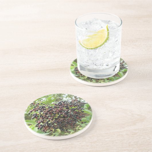 Onderzetters van rijpende derbessen (Zijkant)