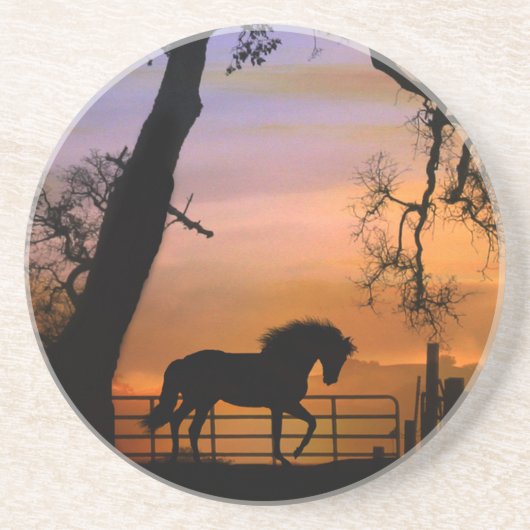 Onderzetters van schitterende paardenzandsteen (Voorkant)