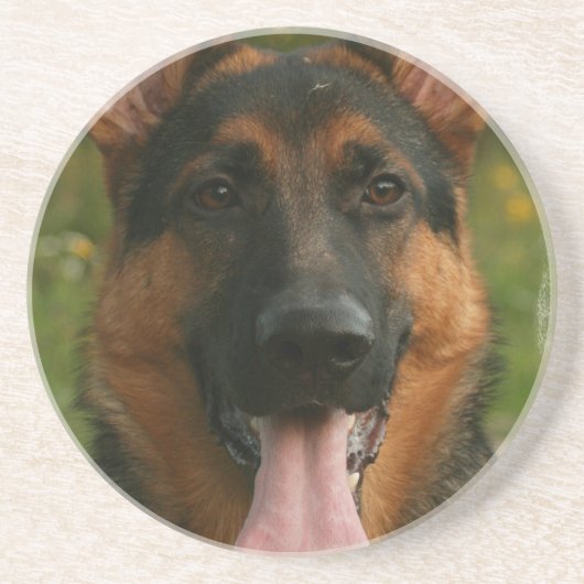 Onderzetters van Shepherd Dog (Voorkant)