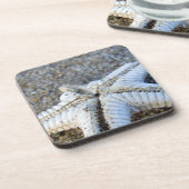 Onderzetters van Starfish (Linkerzijde)