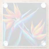 Onderzetters van tropisch glas (Achterkant)