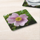 Onderzetters van vrij Roos (Schuin)