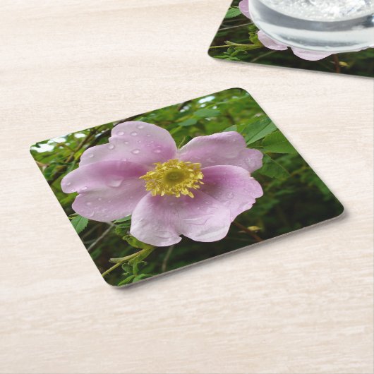 Onderzetters van vrij Roos (Schuin)