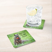 Onderzetters van zandspiering (Insitu)