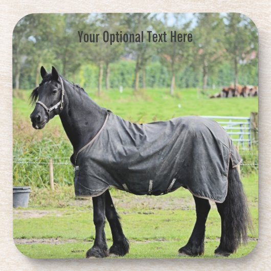 Onderzetters voor aangepaste paarden (Voorkant)