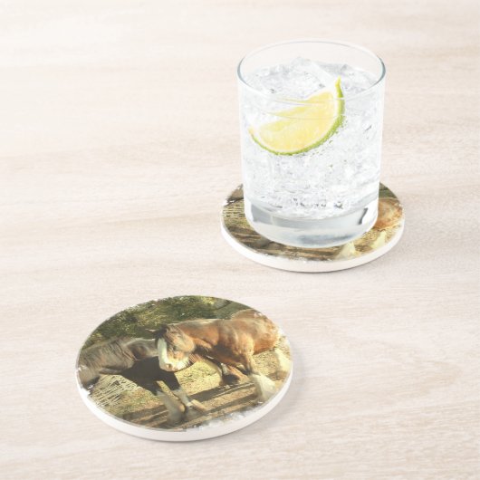 Onderzetters voor conceptpaarden (Zijkant)