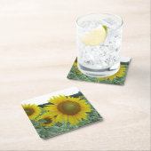 Onderzetters voor de kaasbereiding (Insitu)