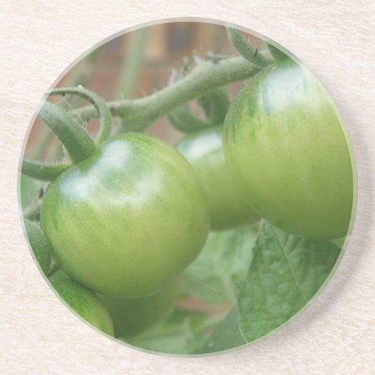 Onderzetters voor groene tomaten (Voorkant)
