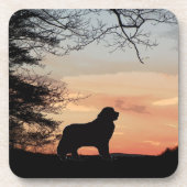 Onderzetters voor honden (Voorkant)