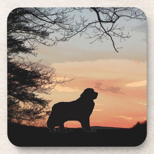 Onderzetters voor honden (Voorkant)