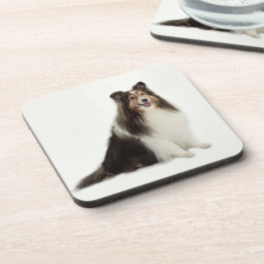 Onderzetters voor Sheltie Mix & Match (Linkerzijde)