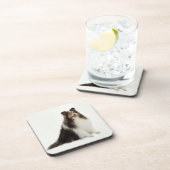 Onderzetters voor Sheltie Mix & Match (Rechterzijde)