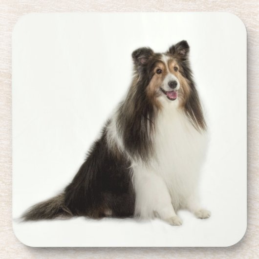 Onderzetters voor Sheltie Mix & Match (Voorkant)