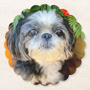 Onderzetters voor Shih Tzu Paper