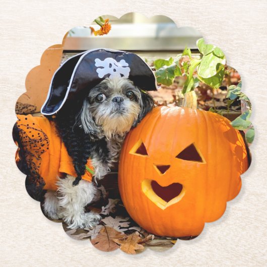Onderzetters voor Shih Tzu Pirate Paper (Voorkant)