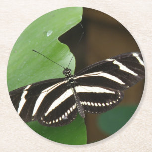 Onderzetters voor Zebra-langwerpvlinderpapier