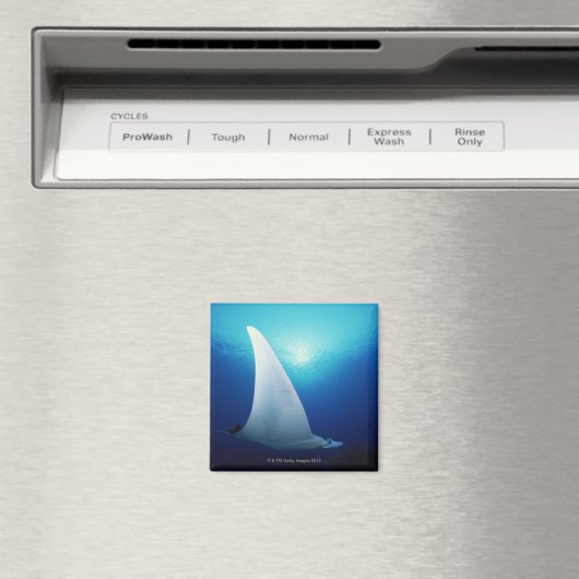 Onderzijde van een manta-straal magneet (Insitu (Vaatwasser))