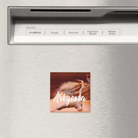 Onderzoek Arizona Magneet (Insitu (Vaatwasser))