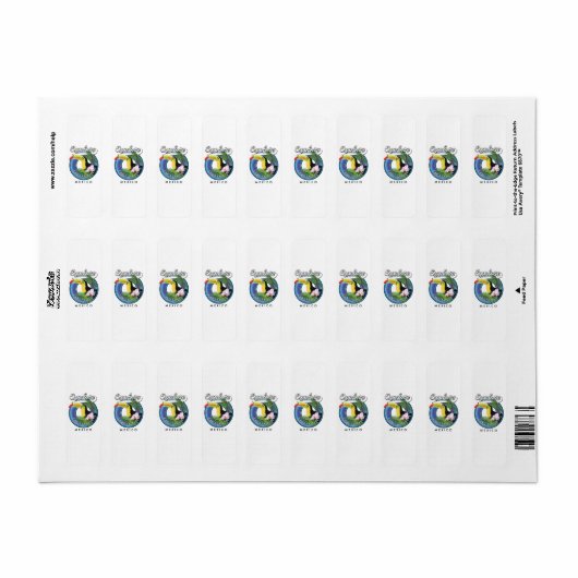 onderzoek cabo san lucas mexico - reispatch foto p etiket (Full Sheet)