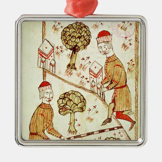 Onderzoek en afbakening van de grond metalen ornament (Voorkant)