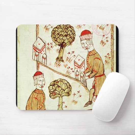 Onderzoek en afbakening van de grond muismat (Met muis)