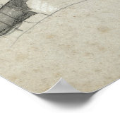 Onderzoek naar Ambroise Pare Poster (Hoek)