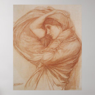 Onderzoek naar Boreas Poster