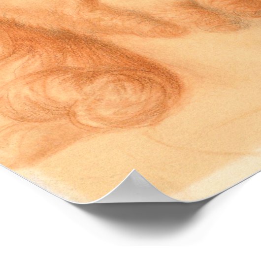 Onderzoek naar Christus-consolator Poster (Hoek)