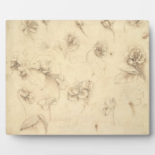 Onderzoek naar de bloemen van grasachtige Planten  Fotoplaat