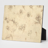 Onderzoek naar de bloemen van grasachtige Planten  Fotoplaat (Zijkant)