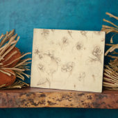 Onderzoek naar de bloemen van grasachtige Planten  Fotoplaat (Zijkant)