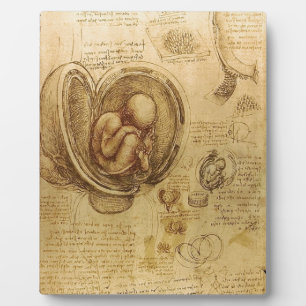 Onderzoek naar de foetus van de baby door Leonardo Fotoplaat