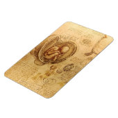 Onderzoek naar de foetus van de baby door Leonardo Magneet (Linkerzijde)