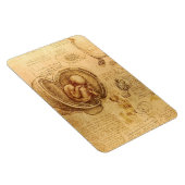 Onderzoek naar de foetus van de baby door Leonardo Magneet (Rechterzijde)