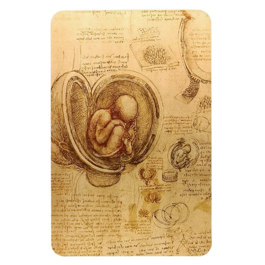 Onderzoek naar de foetus van de baby door Leonardo Magneet (Verticaal)