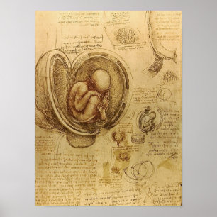 Onderzoek naar de foetus van de baby door Leonardo Poster