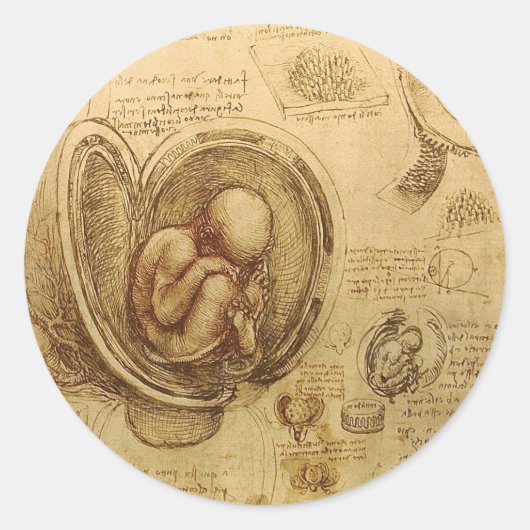 Onderzoek naar de foetus van de baby door Leonardo Ronde Sticker (Voorkant)