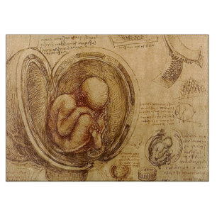 Onderzoek naar de foetus van de baby door Leonardo Snijplank