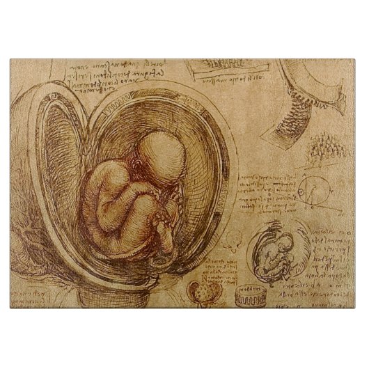 Onderzoek naar de foetus van de baby door Leonardo Snijplank (Voorkant)