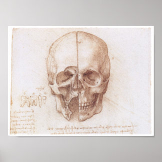 Onderzoek naar de menselijke schedel, Leonardo da Poster