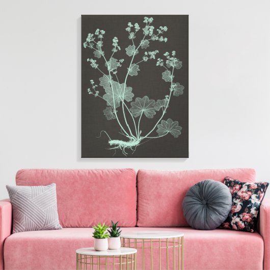 Onderzoek naar de Natuur van mint en houtskool I Canvas Afdruk (Insitu (Woonkamer))