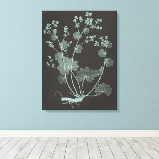 Onderzoek naar de Natuur van mint en houtskool I Canvas Afdruk (Insitu (Houten vloer))