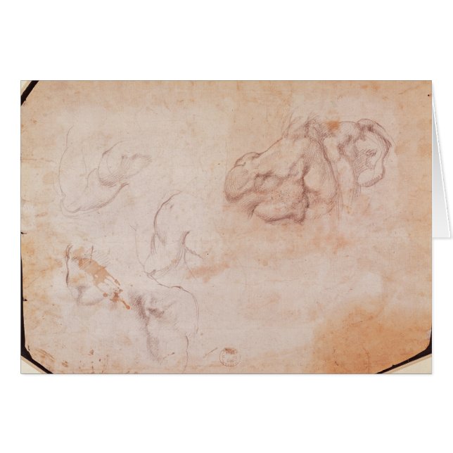 Onderzoek naar de spieren (Voorkant Horizontaal)