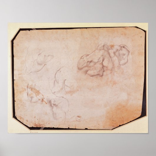 Onderzoek naar de spieren poster (Voorkant)