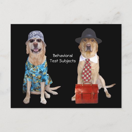 Onderzoek naar dierlijk/laboratorium/honden-gedrag briefkaart (Voorkant)