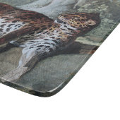 Onderzoek naar een luipaard (door Jean-Baptiste Ou Snijplank (Hoek)